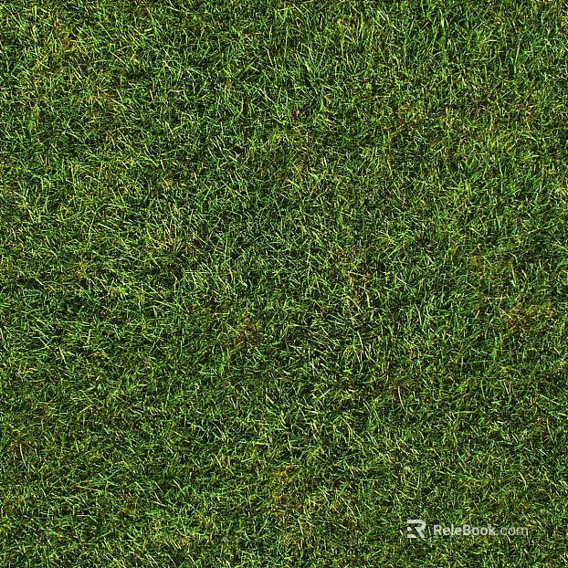 Turf texture