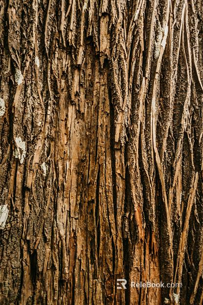 bark texture
