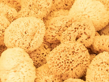 Sponge texture (ID:ffaag85567)
