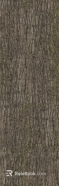 bark texture