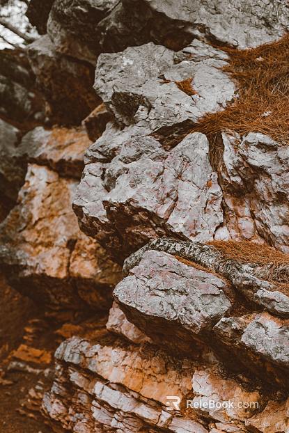 Rock texture