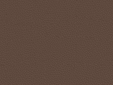 Coarse-grain leather 3d model