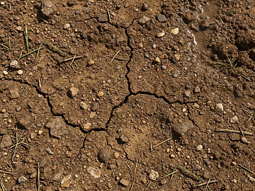 cracking soil 3d model