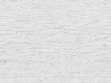 Wood grain milk white matte wood veneer texture (ID:ffajg19930)