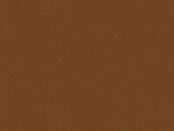 fine grain leather texture (ID:ffaaf0503)