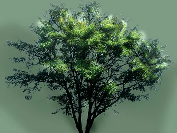 Plant painting texture (ID:ffaeg94400)