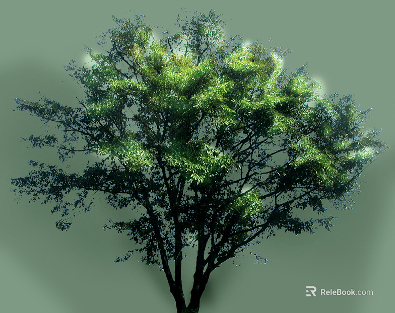 Plant painting texture