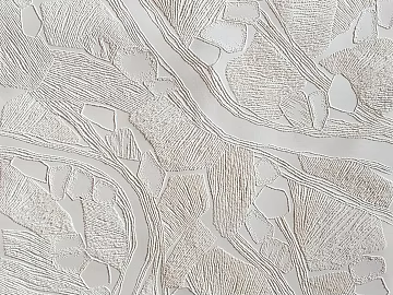 Pattern Cloth 3d model