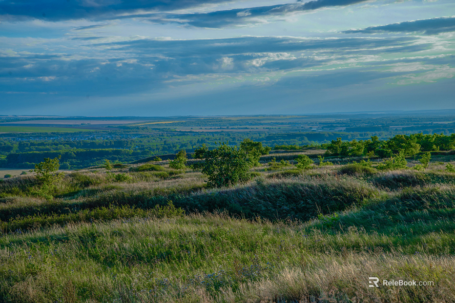 Outdoor Scenery texture