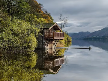 Wild Scenery texture (ID:ffagg93722)