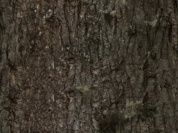 bark texture (ID:ffaag94366)