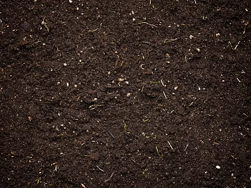 Mud texture (ID:ffach015386)