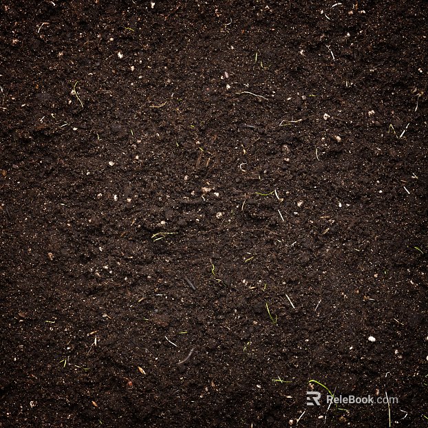 Mud texture