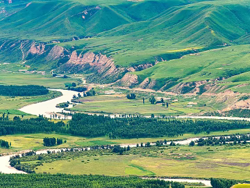 Outdoor Grassland Natural Scenery texture (ID:ffach130475)