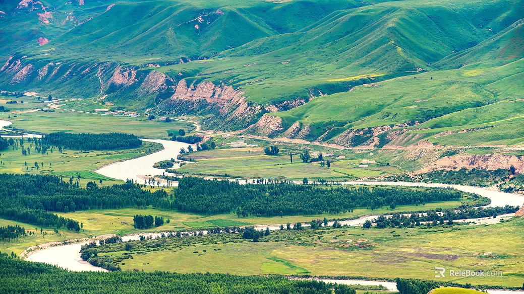 Outdoor Grassland Natural Scenery texture