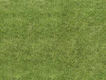 Turf texture (ID:ffagg08264)