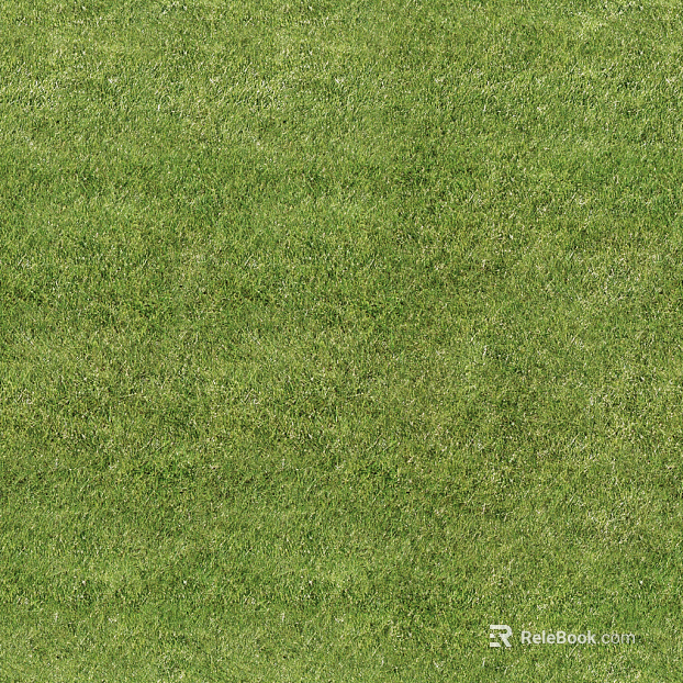 Turf texture