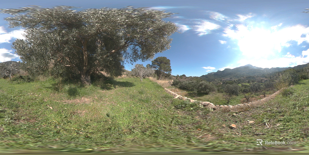 Outdoor Mountain Forest Trees Daytime HDR texture