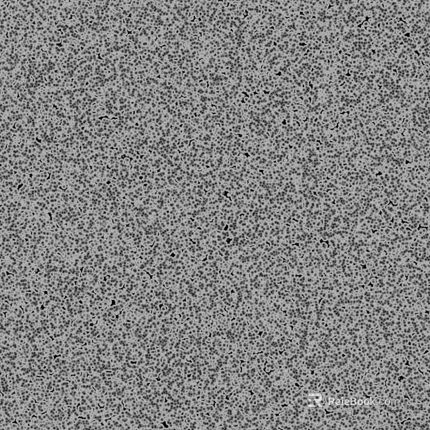 Black and White Bump texture