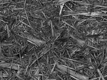 Black and White Bump texture (ID:ffagf3739)