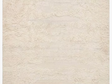 Animal Blanket texture (ID:ffagg65896)