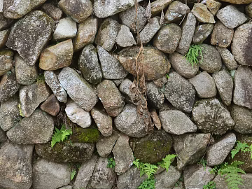 Culture Stone texture (ID:ffagf4395)