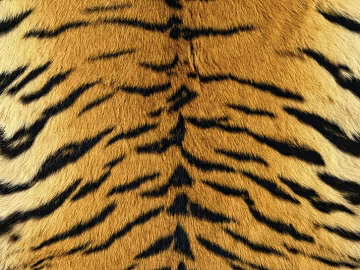 Animal Blanket texture (ID:ffagg52691)
