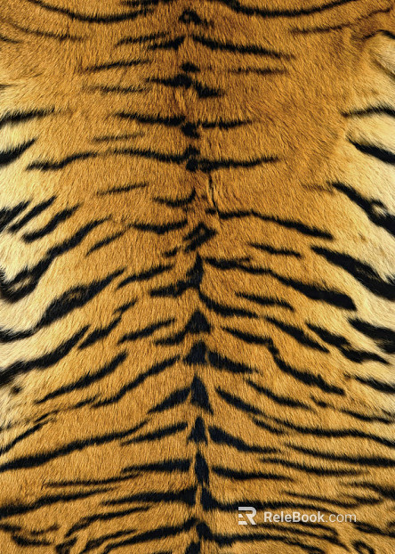 Animal Blanket texture