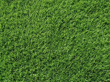 Turf texture (ID:ffaag59202)
