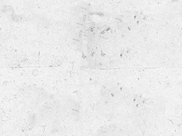 Cement texture (ID:ffaeg29125)