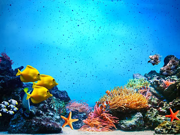 Fish tank texture (ID:ffhie837)