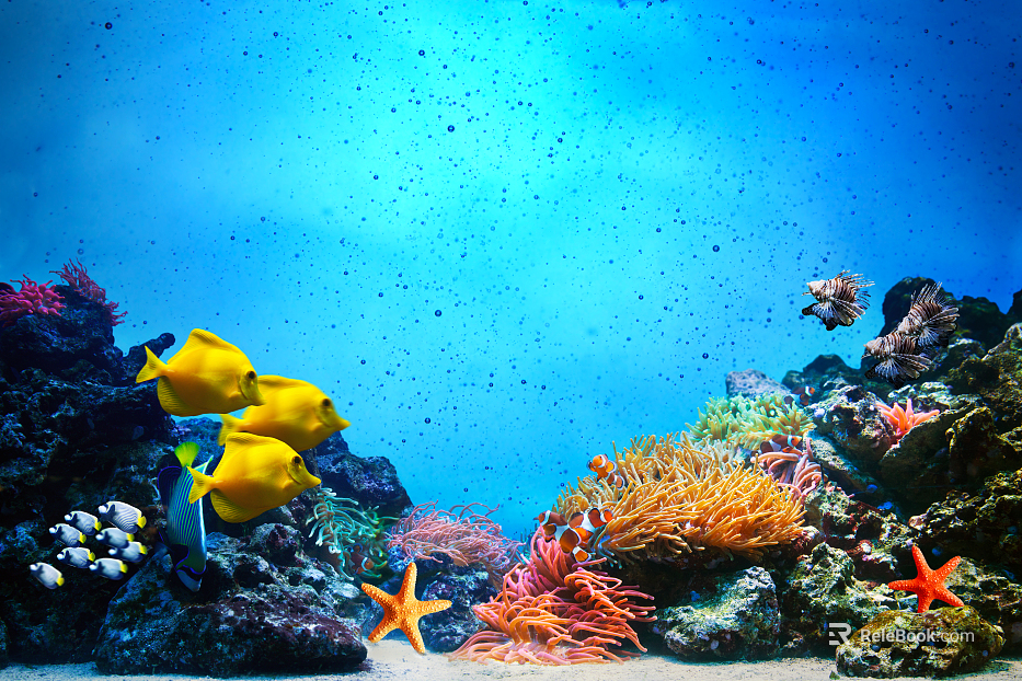 Fish tank texture