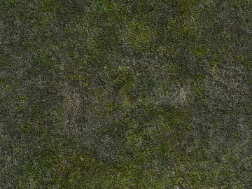 Turf texture (ID:ffach616498)