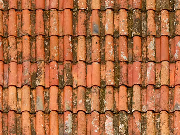 red tile 3d model