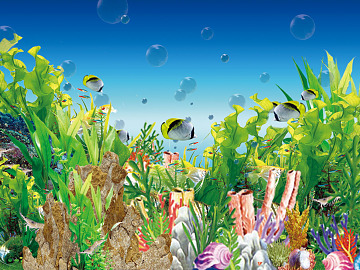 Fish Tank Map texture (ID:ffagg07232)