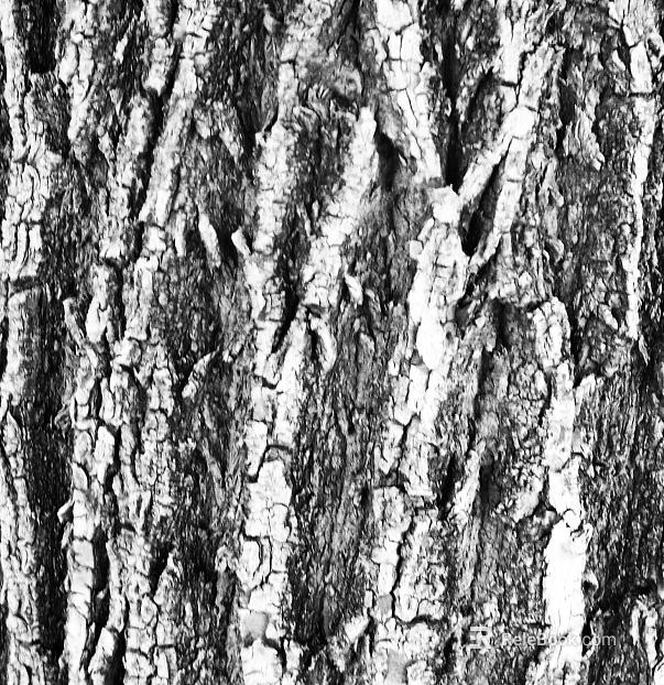 Black and White Bump texture