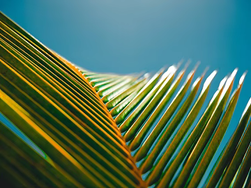 Plant painting texture (ID:ffabg30297)