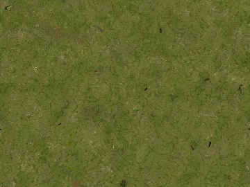 Turf texture (ID:ffach354965)