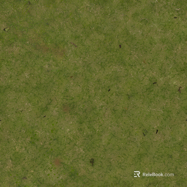 Turf texture