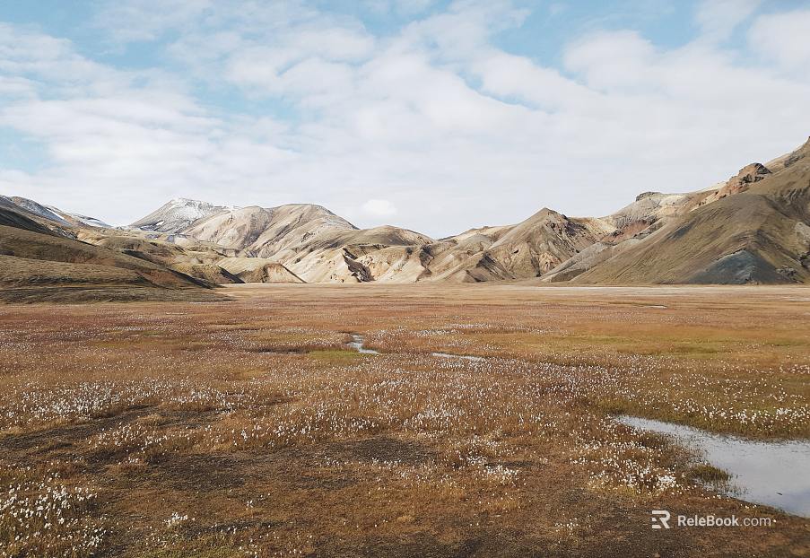 Wild Scenery texture