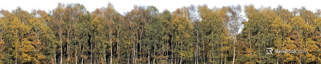 Wild Scenery texture