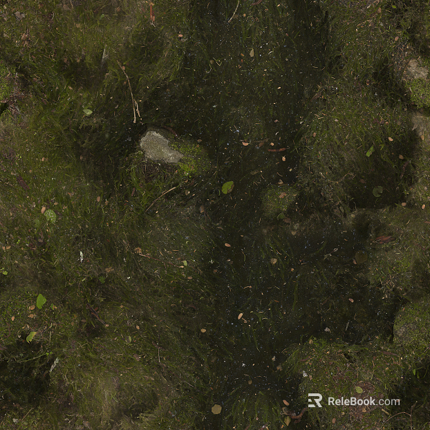 moss texture