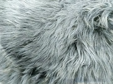 Animal Blanket texture (ID:ffaag36847)