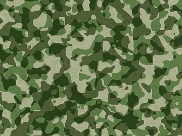 Camouflage 3d model