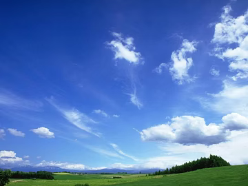 Wild Scenery texture (ID:ffaeg04746)