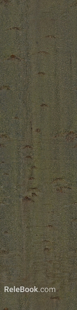 bark texture
