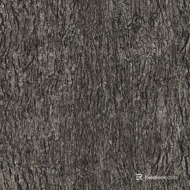 bark texture