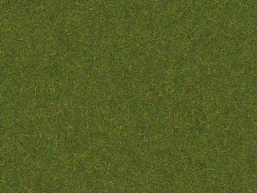 Turf 3d model