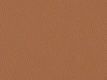 Coarse-grain leather texture (ID:ffach000906)