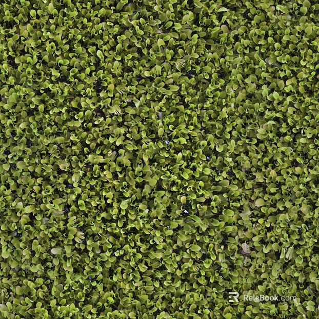 moss texture